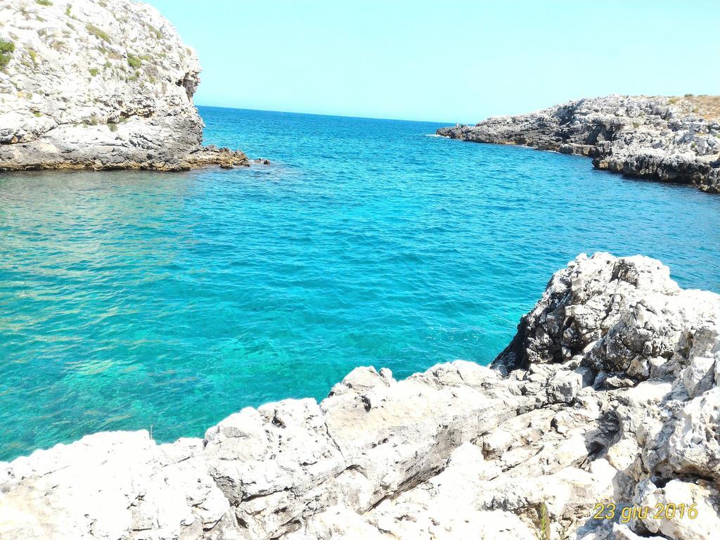 Masseria Vignenove أودجانو لا كييزا المظهر الخارجي الصورة