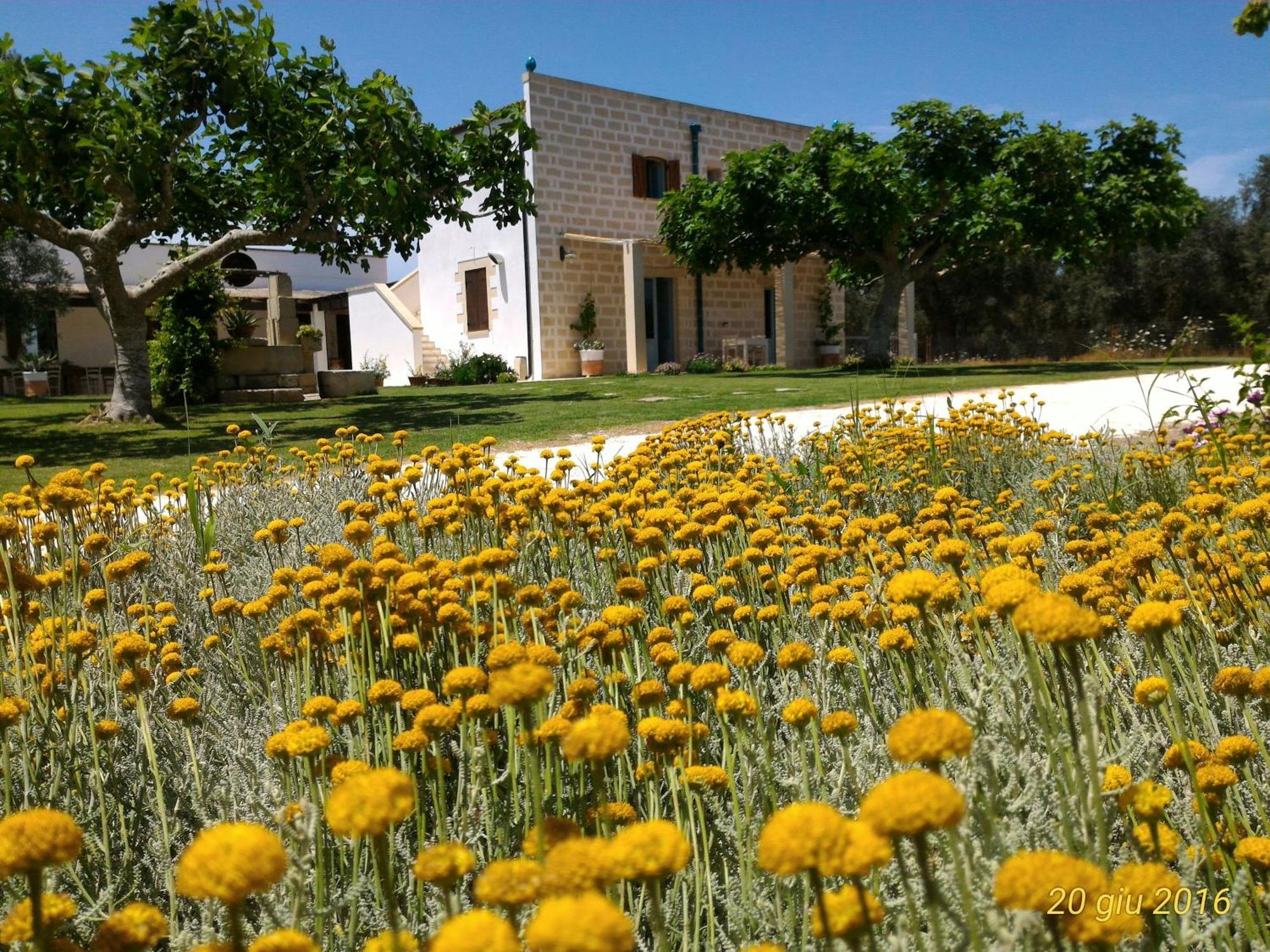 Masseria Vignenove أودجانو لا كييزا المظهر الخارجي الصورة