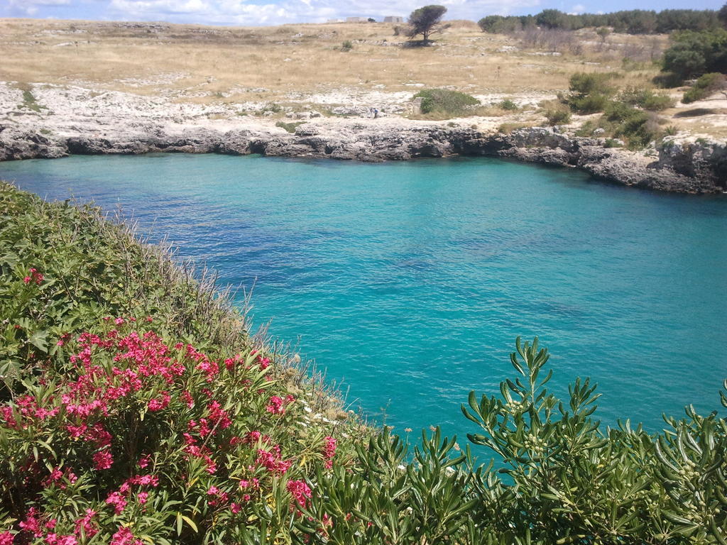 Masseria Vignenove أودجانو لا كييزا المظهر الخارجي الصورة